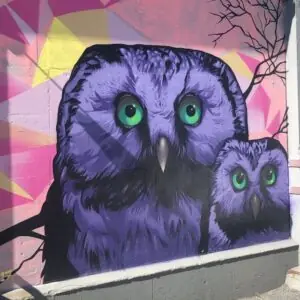 Owl